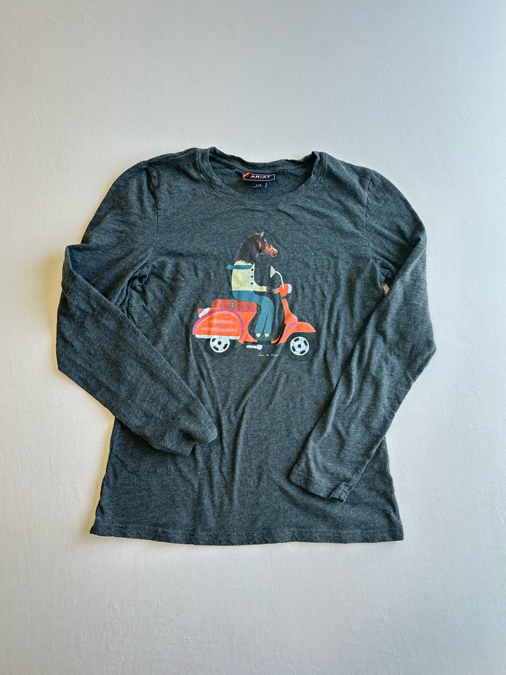 Ariat Long Sleeve Graphic T-Shirt